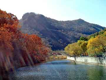 新澳天天开奖资料大全旅游团，梁底钢板